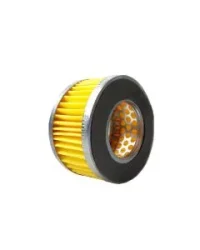 Elemento Filtro para Pco-5500 Prtn